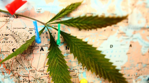 The Rise of Cannabis Tourism: Why it Will Continue to Grow in 2023 and Beyond