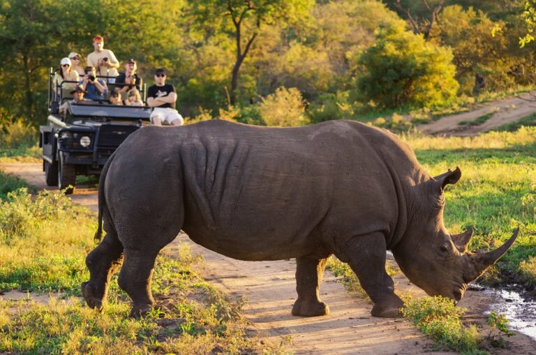 South African Tourism to begin its annual trade schedule in India in February