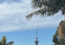 Auckland City Guide 