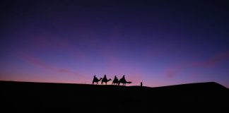 Embark on an Enchanting Camel Ride Through the Merzouga Desert