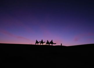 Embark on an Enchanting Camel Ride Through the Merzouga Desert