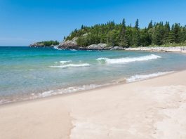 14 Best Beaches in Ontario to Visit in 2025 (Local Faves!)