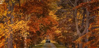 Best Day Trips from Toronto for 2025: Top 24 Escapes