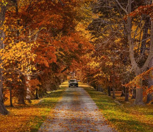 Best Day Trips from Toronto for 2025: Top 24 Escapes