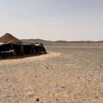 Eco friendly Tours in Sahara Desert