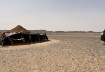 Eco friendly Tours in Sahara Desert