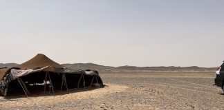 Eco friendly Tours in Sahara Desert