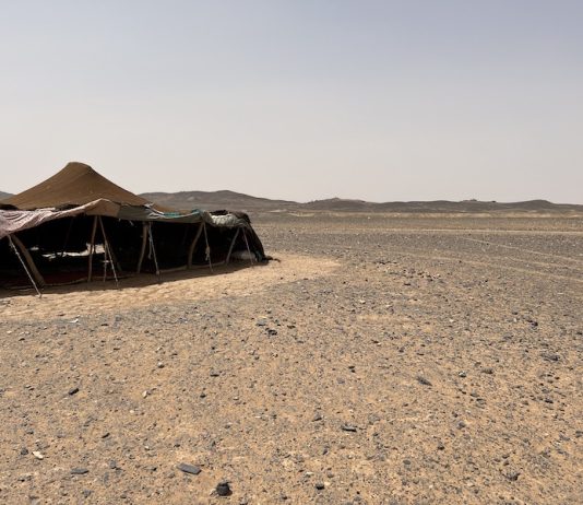 Eco friendly Tours in Sahara Desert