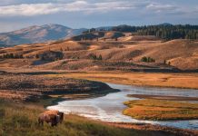 Best National Parks to Visit within the US: A Guide to 25+ Parks for Every Traveller Best National Parks to Visit in the US: A Guide to 25+ Parks for Every Traveller