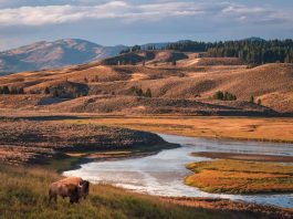 Best National Parks to Visit within the US: A Guide to 25+ Parks for Every Traveller Best National Parks to Visit in the US: A Guide to 25+ Parks for Every Traveller