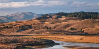 Best National Parks to Visit in the US: A Guide to 25+ Parks for Every Traveller