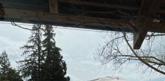 Checking In: Huka Lodge Review Checking In: Huka Lodge Review