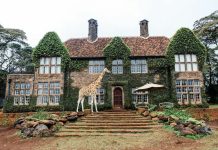 The 10 Best Countries for an African Safari