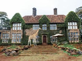 The 10 Best Countries for an African Safari