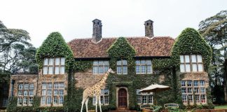 The 10 Best Countries for an African Safari