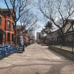 Best Things to Do in Hamilton, Ontario: Waterfalls, Art, Food & Day Trip Ideas