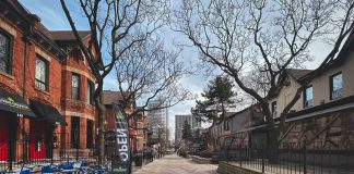 Best Things to Do in Hamilton, Ontario: Waterfalls, Art, Food & Day Trip Ideas