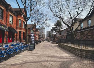Best Things to Do in Hamilton, Ontario: Waterfalls, Art, Food & Day Trip Ideas